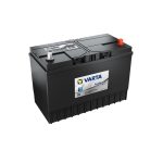BATTERIA TRATTORE CAMION VARTA I9 120Ah 780A (DX) PROMOTIVE HEAVY DUTY   = FIAMM BOSCH